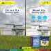 Protect Your Home with UV Resistant Exterior Paint